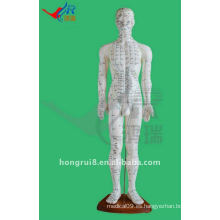 60CM Human Acupuncture Points Model, modelo de cuerpo humano de acupuntura